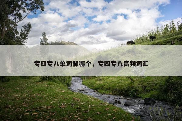 专四专八单词背哪个，专四专八高频词汇
