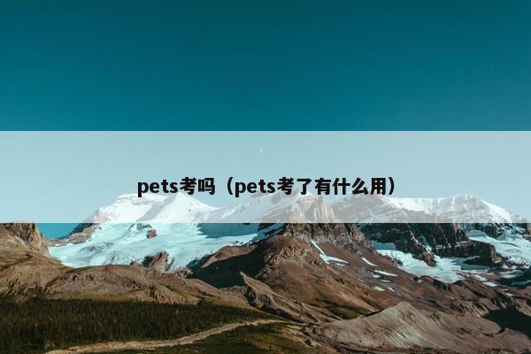 pets考吗（pets考了有什么用）