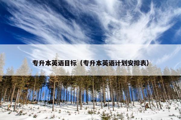专升本英语目标（专升本英语计划安排表）