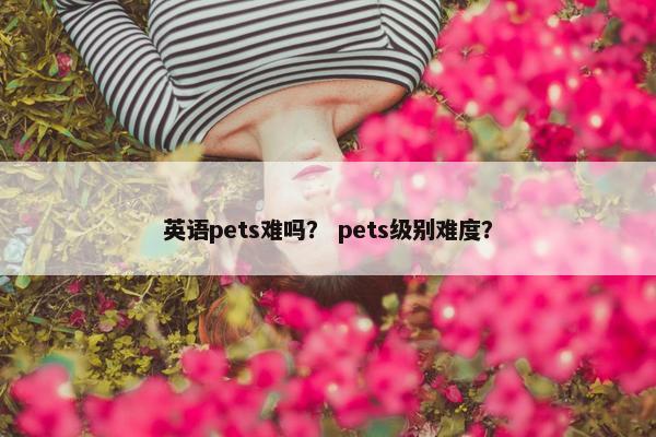 英语pets难吗？ pets级别难度？