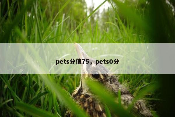 pets分值75，pets0分