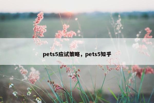 pets5应试策略，pets5知乎