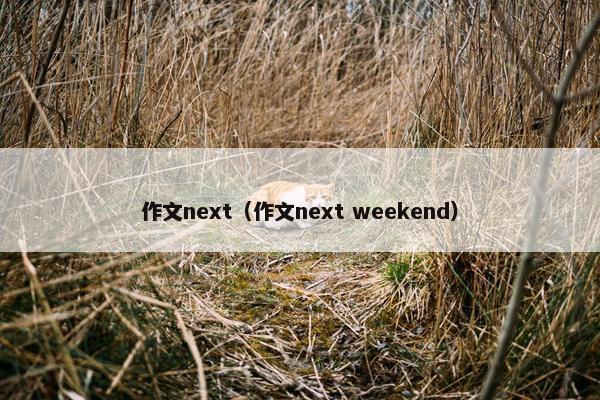 作文next（作文next weekend）