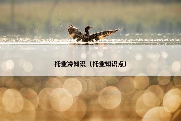托业冷知识（托业知识点）
