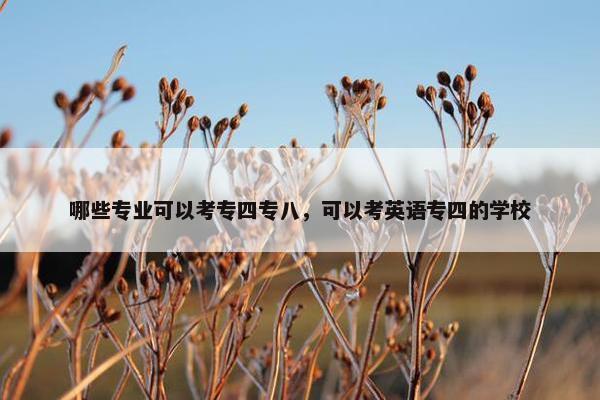 哪些专业可以考专四专八，可以考英语专四的学校