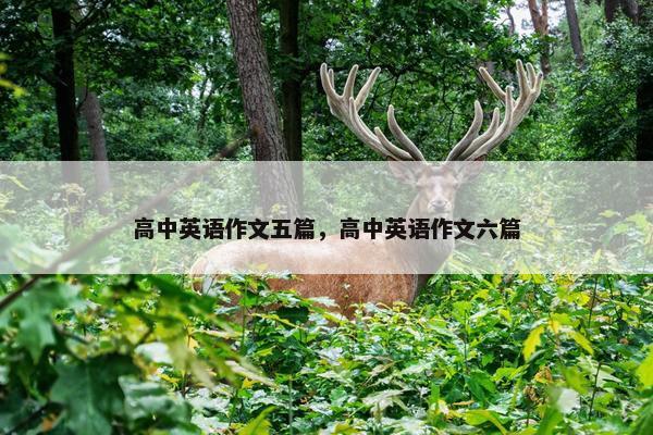 高中英语作文五篇，高中英语作文六篇