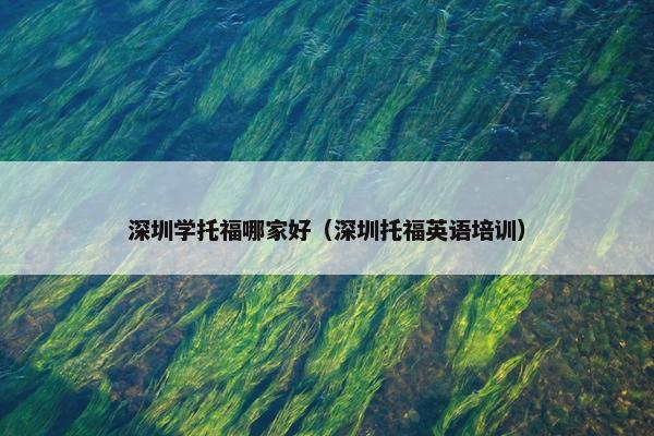 深圳学托福哪家好（深圳托福英语培训）