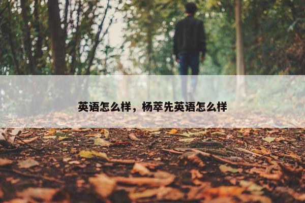 英语怎么样，杨萃先英语怎么样