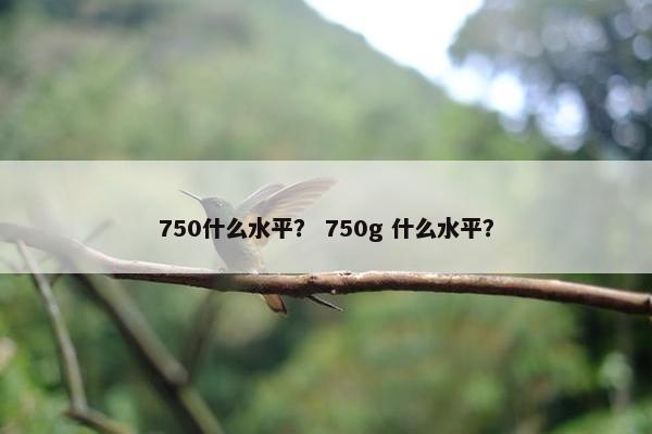 750什么水平？ 750g 什么水平？