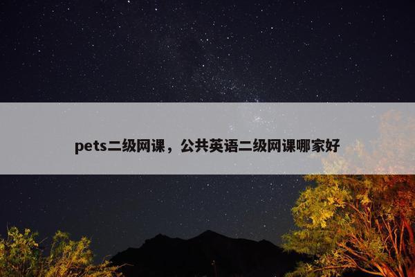 pets二级网课，公共英语二级网课哪家好