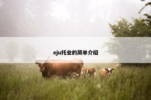 eju托业的简单介绍
