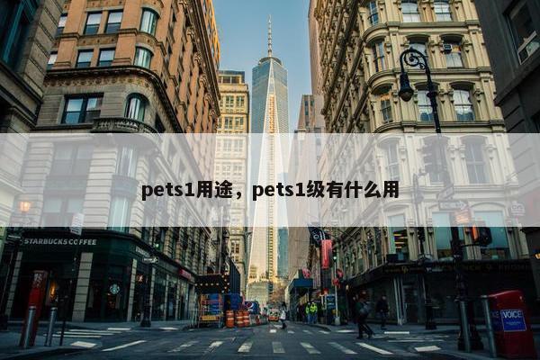 pets1用途，pets1级有什么用