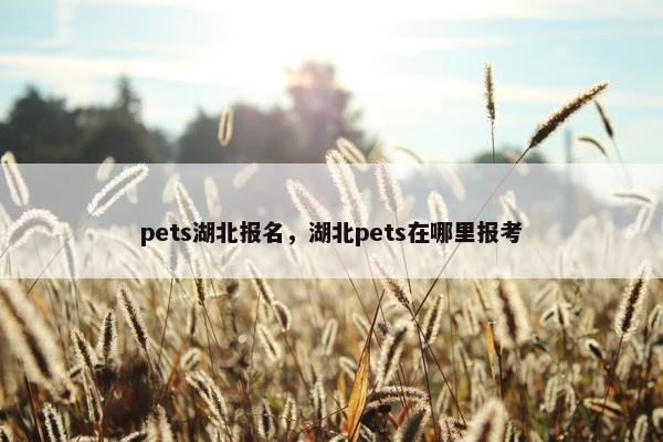 pets湖北报名，湖北pets在哪里报考