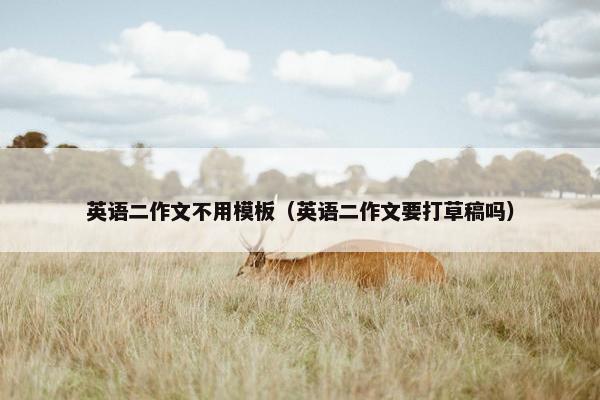 英语二作文不用模板（英语二作文要打草稿吗）