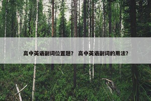 高中英语副词位置题？ 高中英语副词的用法？