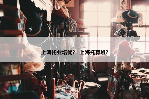 上海托业培优？ 上海托育班？