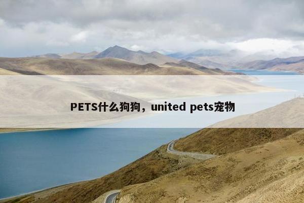 PETS什么狗狗，united pets宠物