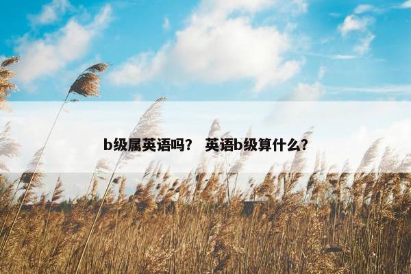 b级属英语吗？ 英语b级算什么？