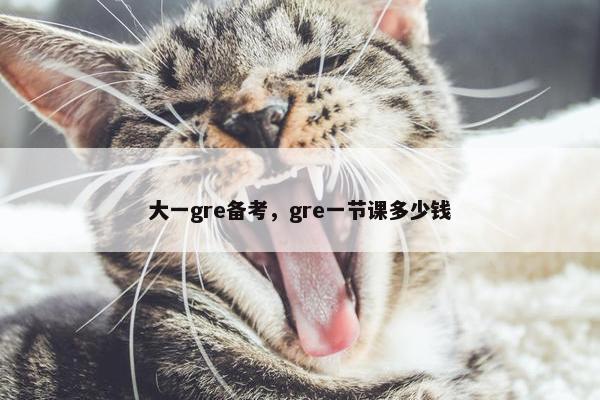大一gre备考，gre一节课多少钱