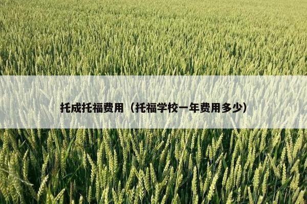 托成托福费用（托福学校一年费用多少）