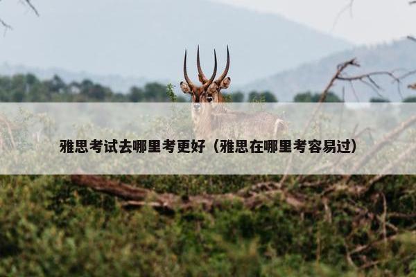 雅思考试去哪里考更好（雅思在哪里考容易过）