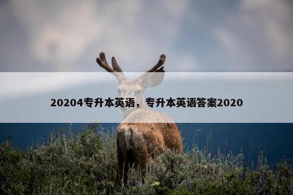 20204专升本英语，专升本英语答案2020