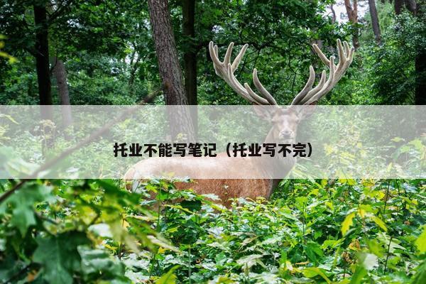 托业不能写笔记（托业写不完）