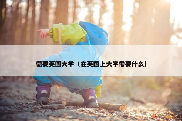 需要英国大学（在英国上大学需要什么）