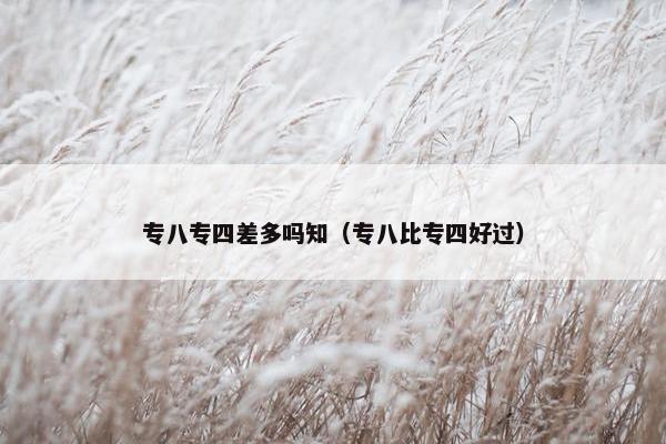 专八专四差多吗知（专八比专四好过）
