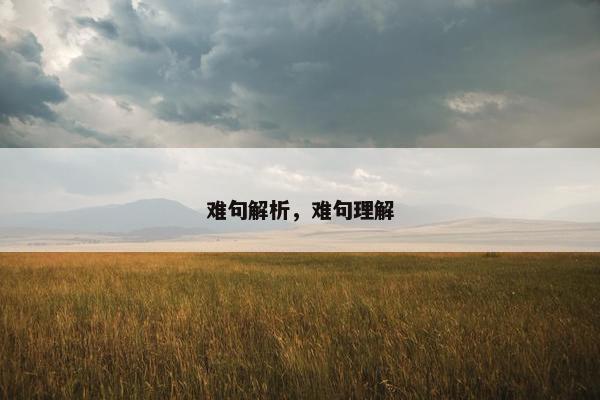 难句解析，难句理解
