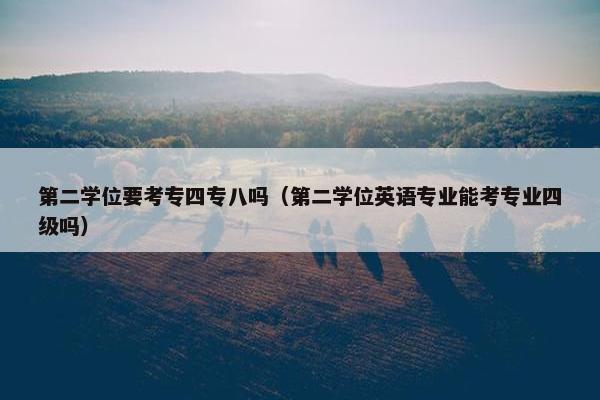 第二学位要考专四专八吗（第二学位英语专业能考专业四级吗）