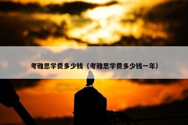 考雅思学费多少钱（考雅思学费多少钱一年）