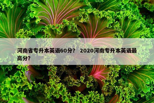 河南省专升本英语60分？ 2020河南专升本英语最高分？