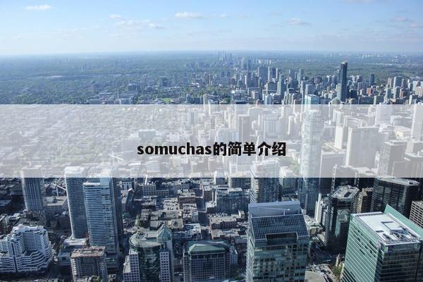 somuchas的简单介绍