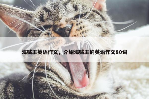 海贼王英语作文，介绍海贼王的英语作文80词