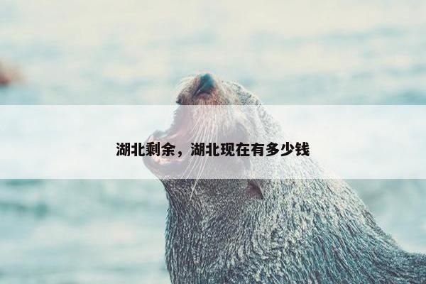 湖北剩余，湖北现在有多少钱