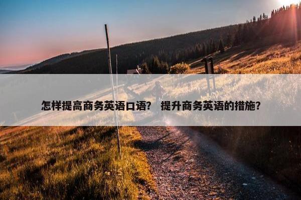 怎样提高商务英语口语？ 提升商务英语的措施？
