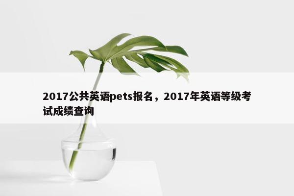 2017公共英语pets报名，2017年英语等级考试成绩查询