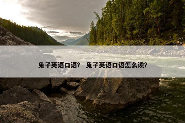 兔子英语口语？ 兔子英语口语怎么读？