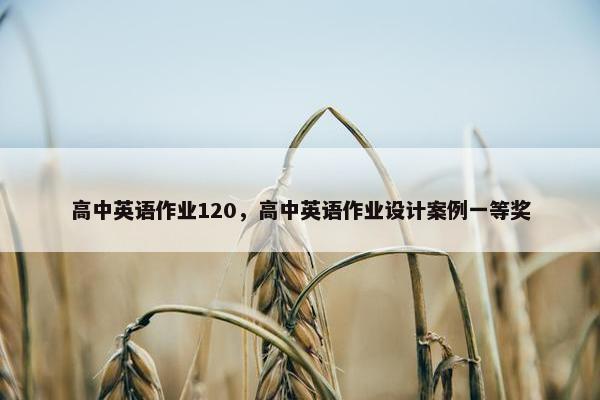 高中英语作业120，高中英语作业设计案例一等奖