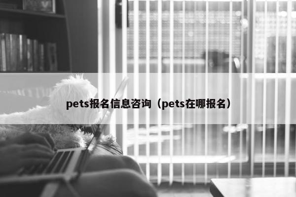 pets报名信息咨询（pets在哪报名）