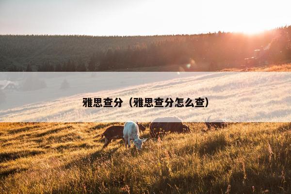 雅思查分（雅思查分怎么查）