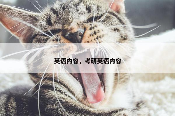 英语内容，考研英语内容