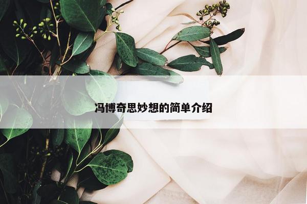 冯博奇思妙想的简单介绍