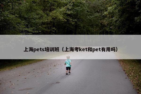 上海pets培训班（上海考ket和pet有用吗）