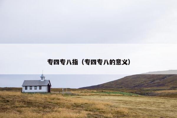 专四专八指（专四专八的意义）