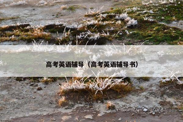 高考英语辅导（高考英语辅导书）