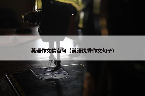 英语作文精点句（英语优秀作文句子）
