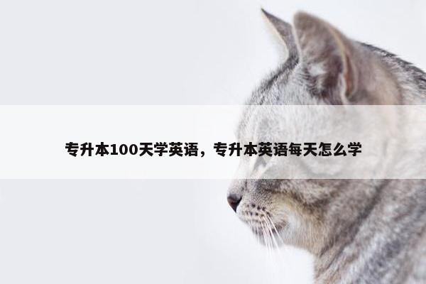 专升本100天学英语，专升本英语每天怎么学