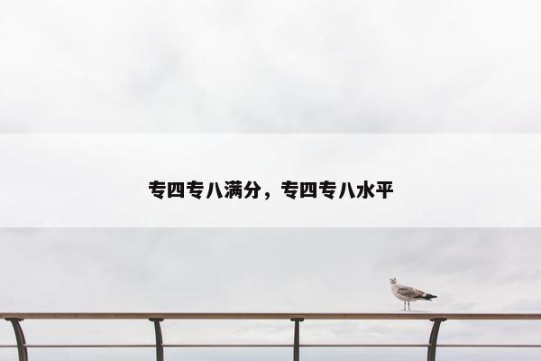 专四专八满分，专四专八水平